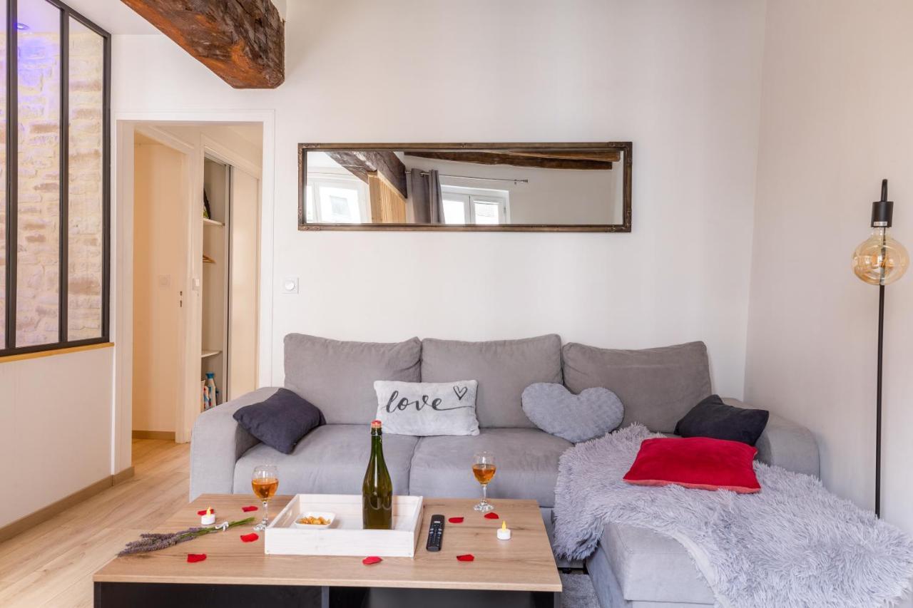 Appartement Cocon A Bulles Chic Vue Cathedrale Avec Spa-jacuzzi Chartres